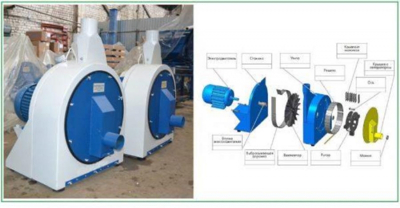 pa eaea ooa M  OO appCa 